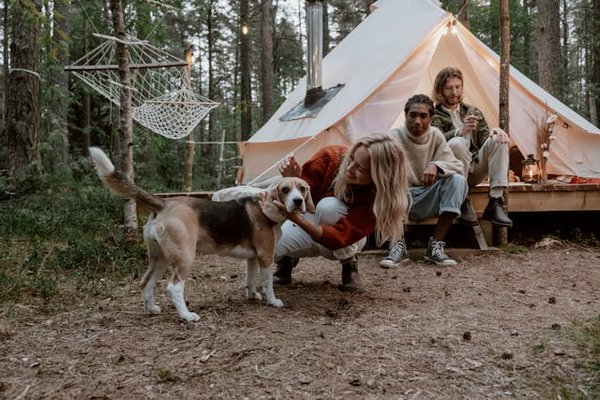 Trouver un camping accueillant les chiens en France