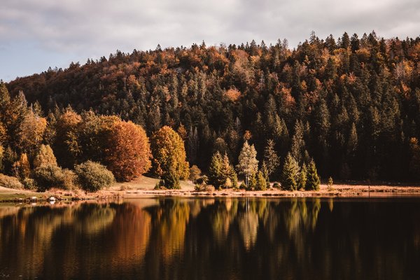 Les 10 avantages incontournables du camping en bord de lac pour des vacances ressourçantes