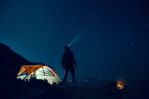 Comment gérer une Invasion d'Insectes au Camping: Astuces et Solutions Pratiques