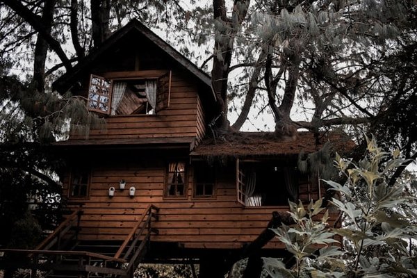 Évasion Insolite : Top des Cabanes dans les Arbres en France pour une Nuit de Rêve
