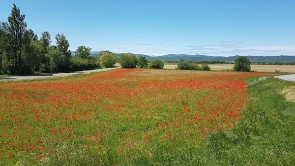 Les Secrets d'un Séjour Réussi au Camping à Auzat en Ariège