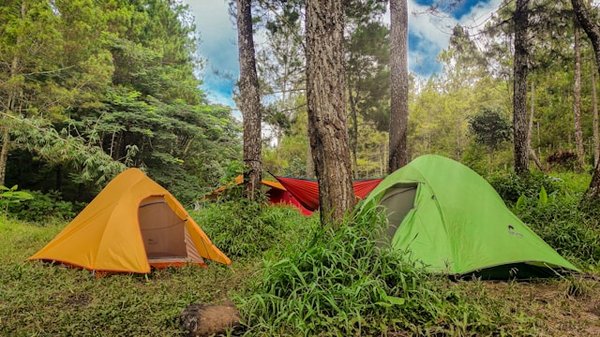 Top campings à Céret : séjour idyllique en plein air