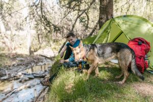 Trouvez un camping en France où les chiens sont acceptés, pour des vacances avec votre compagnon à quatre pattes